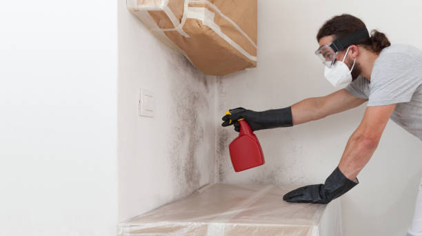 Professional Mold Remediation technician working in DeWitt, MI