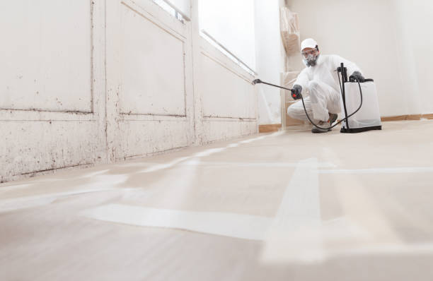 24/7 Emergency Mold Remediation experts in DeWitt, MI