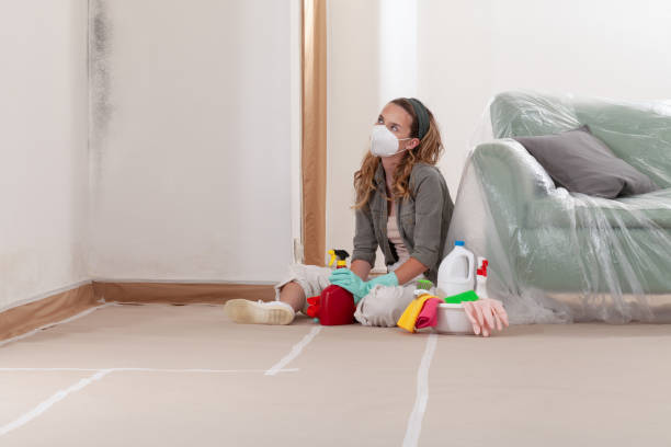 Reliable Mold Remediation contractor in DeWitt, MI by Car Mold Remediation